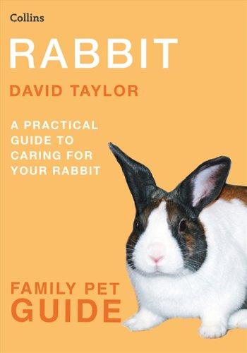 Rabbit (Family Pet Guides)