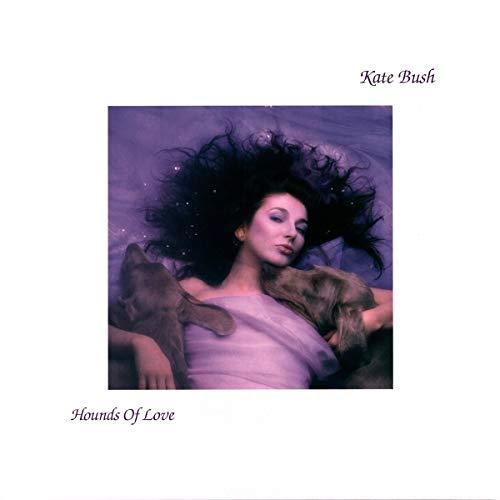 Hounds of Love (2018 Remaster) [Vinyl LP]