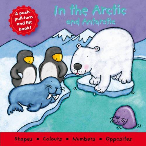 In the Arctic and Antarctic (Little Deluxe Boards)