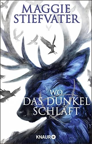 Wo das Dunkel schläft: Das phänomenale Finale der Raven-Boys-Reihe von Bestseller-Autorin Maggie Stiefvater