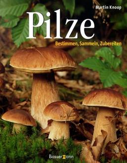 Pilze