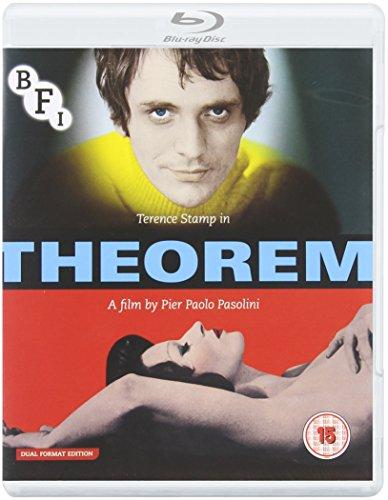 Theorem (DVD + Blu-ray) [UK Import]