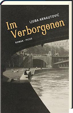 Im Verborgenen: Roman