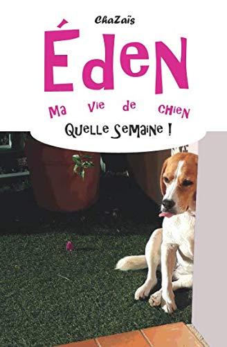 Quelle semaine ! (Éden, ma vie de chien, Band 7)