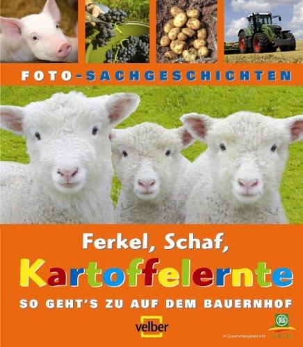 Ferkel, Schaf, Kartoffelernte: Foto-Sachgeschichten. So geht's auf dem Bauernhof