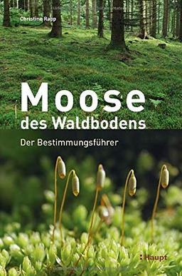 Moose des Waldbodens: Der Bestimmungsführer