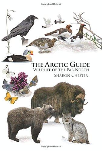 The Arctic Guide: Wildlife of the Far North (Princeton Field Guides)