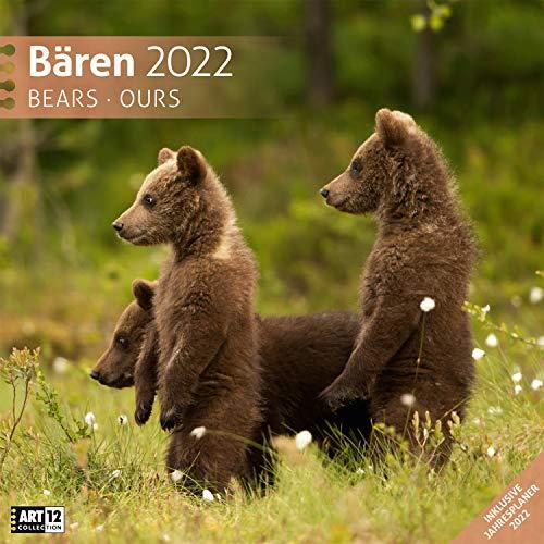 Bären 2022, Wandkalender / Broschürenkalender im Hochformat (aufgeklappt 30x60 cm) - Geschenk-Kalender mit Monatskalendarium zum Eintragen: Bears / Ours