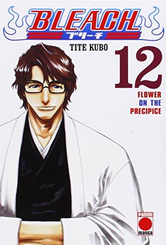 BLEACH 12 (COMIC) (Shonen Manga Bleach)