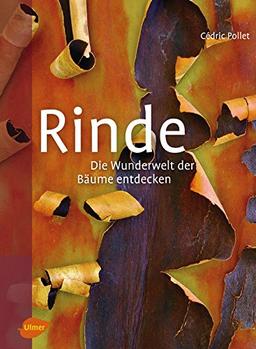 Rinde: Die Wunderwelt der Bäume entdecken