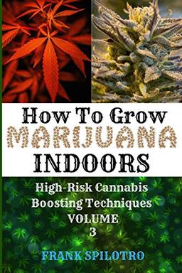 HOW TO GROW MARIJUANA INDOORS: High-Risk Cannabis Boosting Techniques