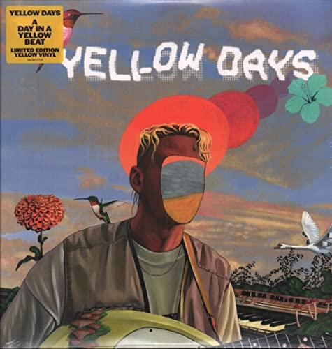 Day In A Yellow Beat [Vinyl LP]