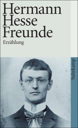 Freunde: Erzählung (suhrkamp taschenbuch)