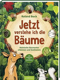 Jetzt verstehe ich die Bäume: Heimische Baumarten erkennen und bestimmen – mit Infokarten zum Mitnehmen | Kindersachbuch zu den 14 wichtigsten Laub- und Nadelbäumen ab 6 Jahren