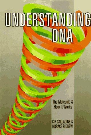 Understanding DNA: The Molecule and How It Works