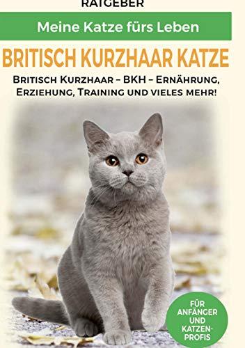 Britisch Kurzhaar Katze: Britisch Kurzhaar Katze Ratgeber - BKH Katze - Erziehung, Ernährung und Pflege