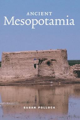 Ancient Mesopotamia (Case Studies in Early Societies, Band 1)