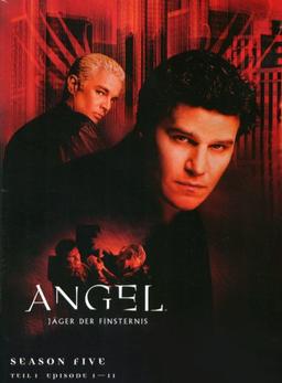 Angel - Season 5.1 (3 DVDs)