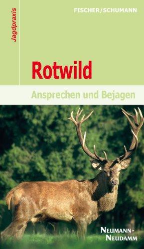 Rotwild: Ansprechen und Bejagen