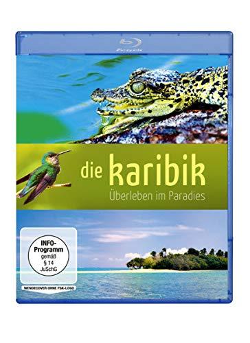 Die Karibik - Überleben im Paradies (Zweiteiler) [Blu-ray]