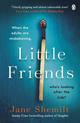 Little Friends: An utterly gripping and shocking new psychological suspense from the bestselling author of DAUGHTER