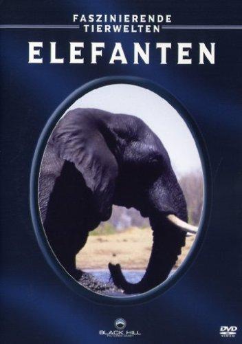 Faszinierende Tierwelten: Elefanten