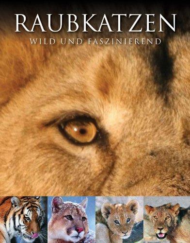 Abenteuer Wildnis: Raubkatzen: Wild und faszinierend