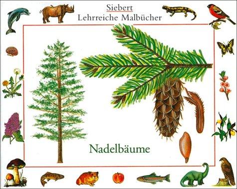 Nadelbäume