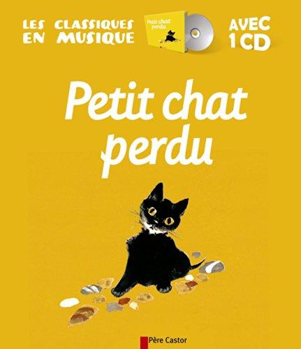 Petit chat perdu