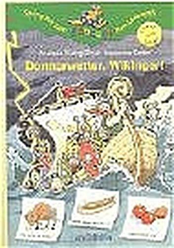 Donnerwetter, Wikinger! (Känguru - Bildergeschichten zum Lesenlernen / Ab 6 Jahren)