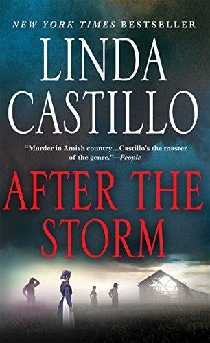 After the Storm (Kate Burkholder Novels)