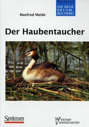 HAUBENTAUCHER PODICEPS CRISTATUS