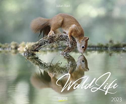 WaldLife 2023: Großer Wandkalender mit poetischen Aufnahmen einheimischer Wald- und Wildtiere. Querformat: 55 x 45,5 cm