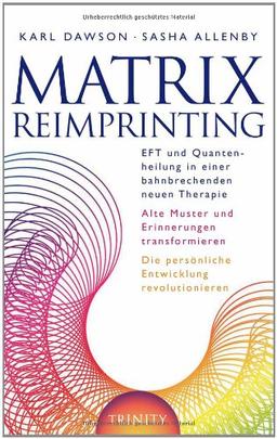 Matrix Reimprinting - EFT und Quantenheilung in einer bahnbrechenden neuen Therapie, Alte Muster und Erinnerungen transformieren, Die persönliche Entwicklung revolutionieren