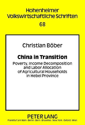 China in Transition: Poverty, Income Decomposition and Labor Allocation of Agricultural Households in Hebei Province (Hohenheimer volkswirtschaftliche Schriften)