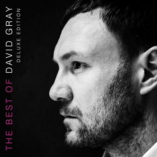 The Best Of David Gray (Deluxe Edit.-2CD Bookpack)