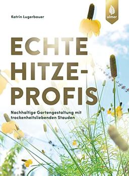 Echte Hitzeprofis: Nachhaltige Gartengestaltung mit trockenheitsliebenden Stauden