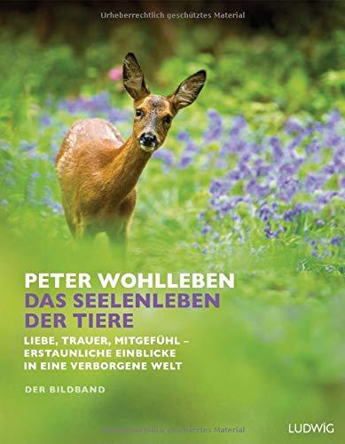 Das Seelenleben der Tiere: Liebe, Trauer, Mitgefühl – erstaunliche Einblicke in eine verborgene Welt. Der Bildband. Mit dem vollständigen Text der Originalausgabe