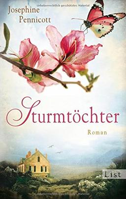 Sturmtöchter: Roman