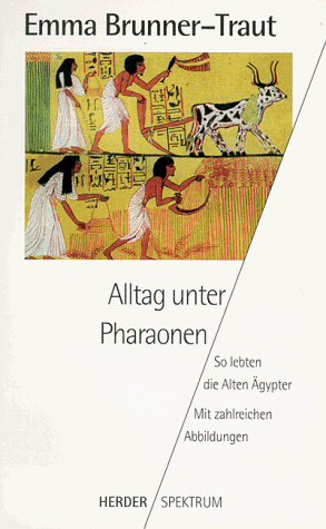 Alltag unter Pharaonen. So lebten die Alten Ägypter.