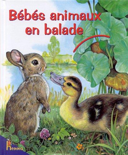 Bébés animaux en balade