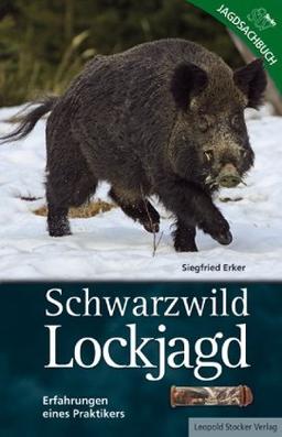 Schwarzwild Lockjagd: Erfahrungen eines Praktikers