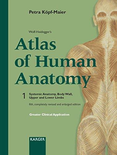 Wolf-Heidegger's Atlas of Human Anatomy: English nomenclature Vol. 1: Systemic Anatomy, Body Wall, Upper and Lower Limbs.