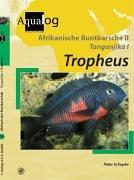 Afrikanische Buntbarsche 2. Tanganjika 1. Tropheus: Die Arten der Gattung Tropheus