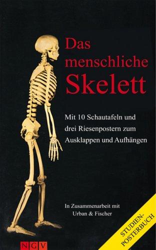 Das menschliche Skelett. Mit 10 Schautafeln und drei Riesenpostern zum Ausklappen und Aufhängen