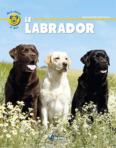 Le labrador