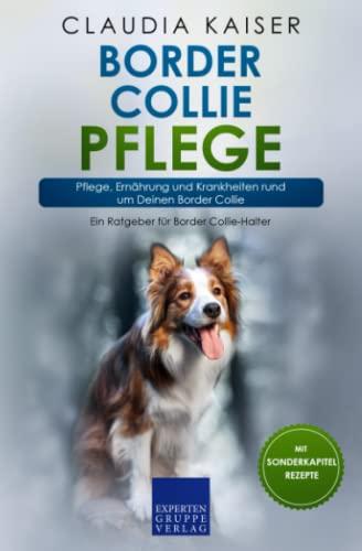 Border Collie Pflege: Pflege, Ernährung und Krankheiten rund um Deinen Border Collie