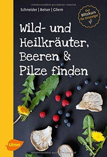 Wild- und Heilkräuter, Beeren und Pilze finden: Der Blitzkurs für Einsteiger