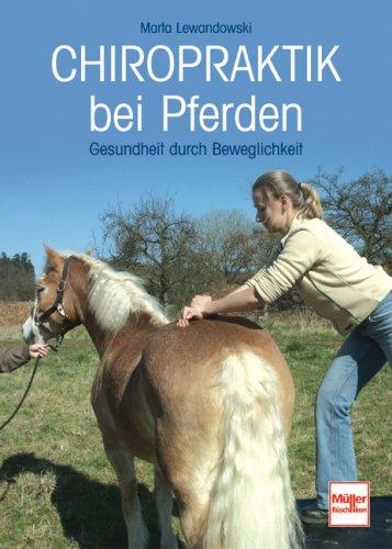 Chiropraktik bei Pferden: Gesundheit durch Beweglichkeit