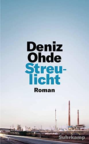 Streulicht: Roman